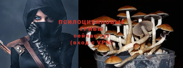 дживик Тайга