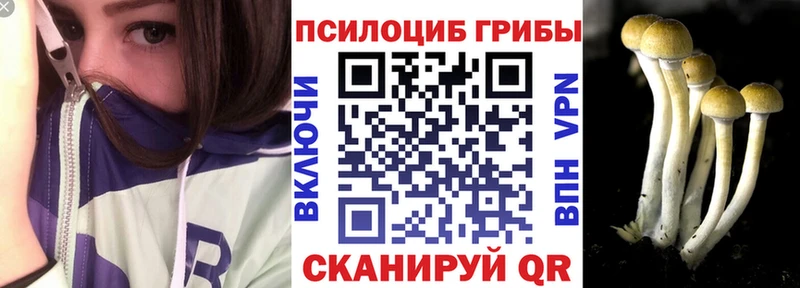 shop клад  mega онион  Орёл  Псилоцибиновые грибы мицелий 